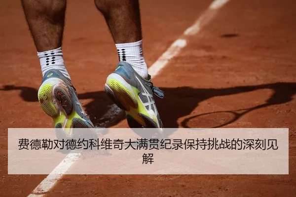 费德勒对德约科维奇大满贯纪录保持挑战的深刻见解